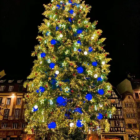 Oasis Mulhousien - Rdc, Wifi, Parking